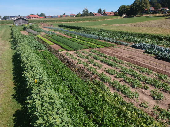 JHV SoLaWi Schafroth-Hof